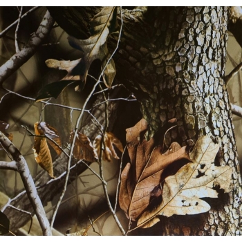 Folia do hydrografiki - Kamuflaż BC0133